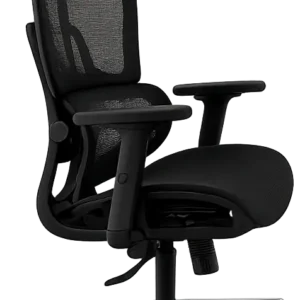 Ergonomic Chairs